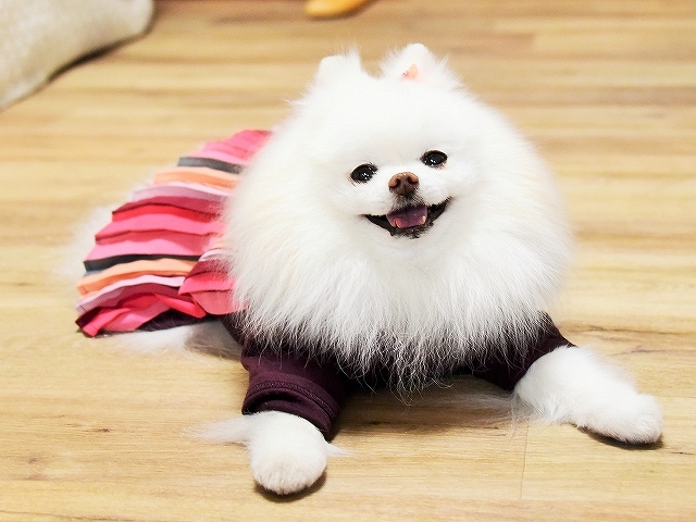 ポジティブでいこう!!_d0360206_01114370.jpg