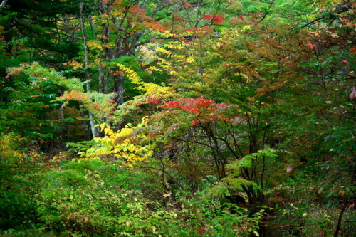 a0263109_15005305.jpg