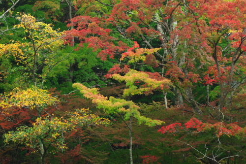a0263109_15045086.jpg