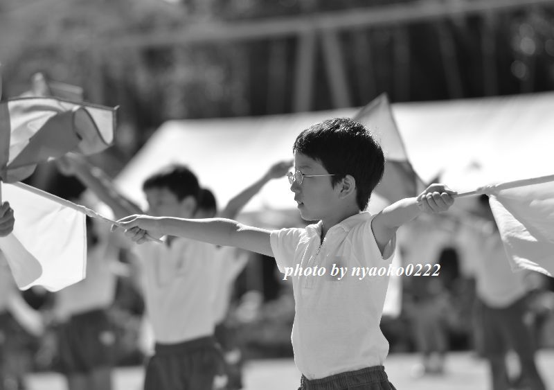 運動会［小学校編］_e0365414_10284311.jpg