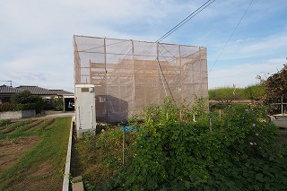 f0190020_18200968.jpg