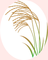 a0115924_15052904.png