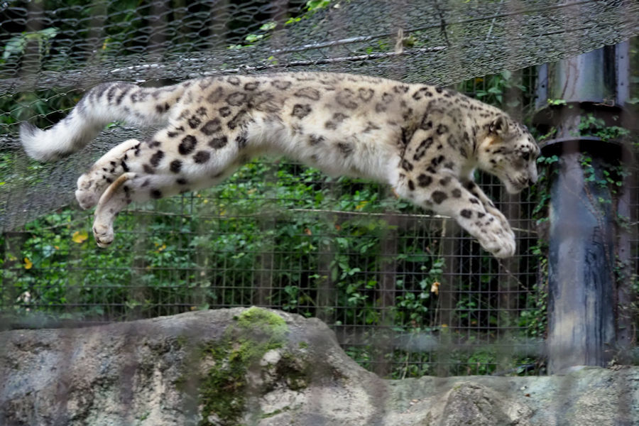 f0224624_21522201.jpg
