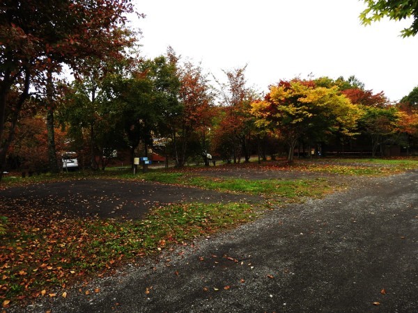 b0174425_09494873.jpg