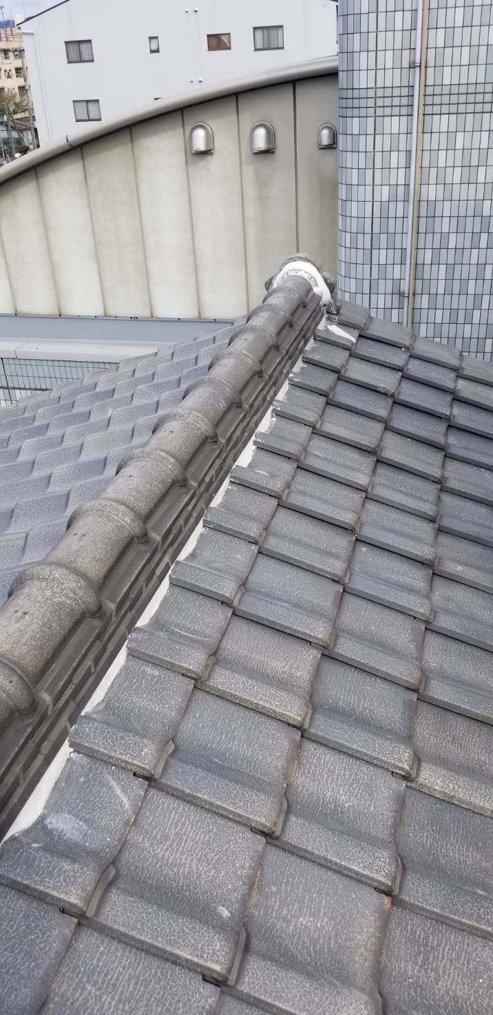 f0125927_19534508.jpeg