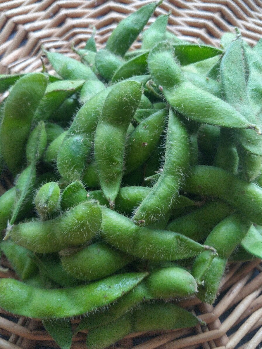 c0124528_23421069.jpg