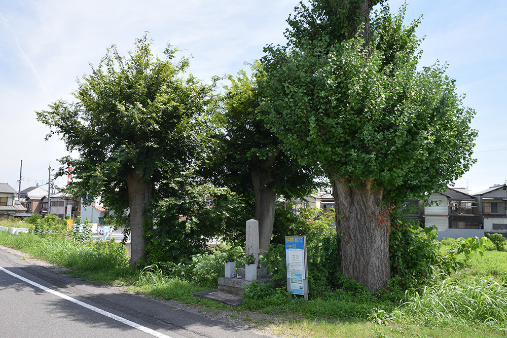 幕末京都逍遥 その156 「戊辰役東軍戦死者埋骨地(愛宕茶屋埋骨地)」_e0158128_22473844.jpg