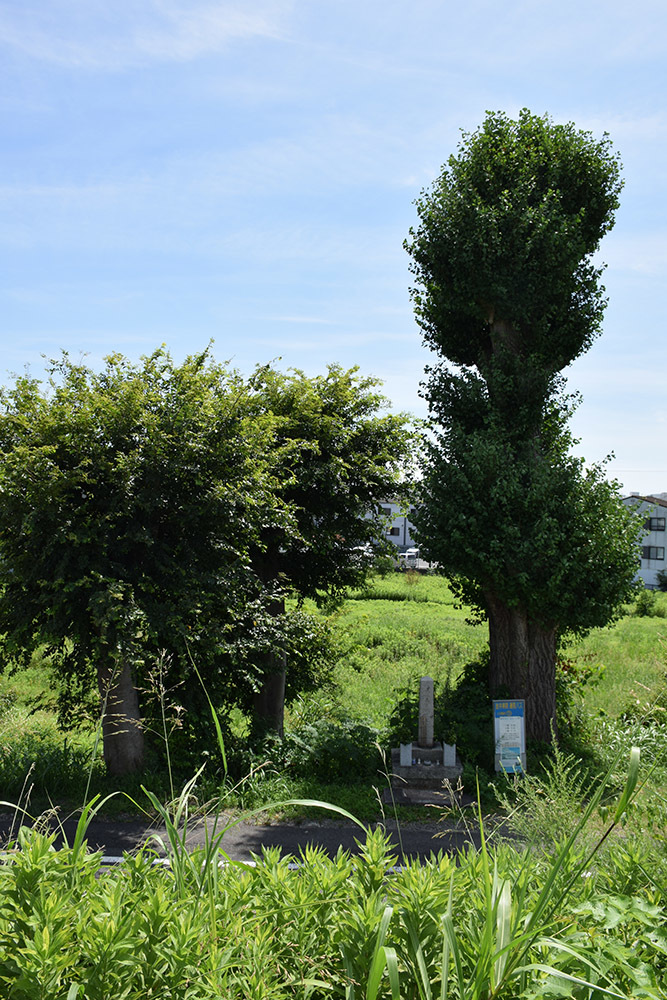 幕末京都逍遥 その156 「戊辰役東軍戦死者埋骨地(愛宕茶屋埋骨地)」_e0158128_22504686.jpg