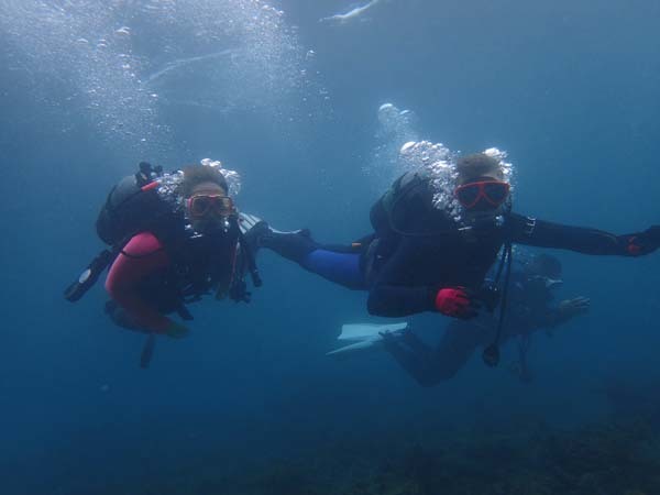 d0164831_15173830.jpg