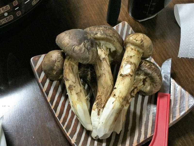 マツタケとリヤエンジンリヤドライブ_f0076731_13092290.jpg