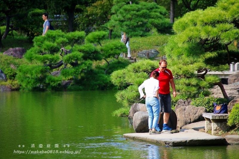 清澄庭園で人のいる風景(*^_^*)_e0052135_10095967.jpg