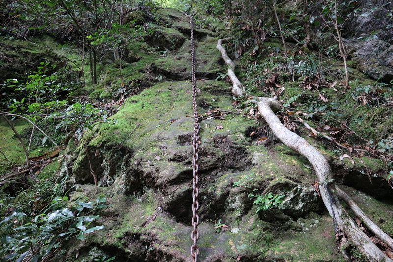 e0272335_20331362.jpg