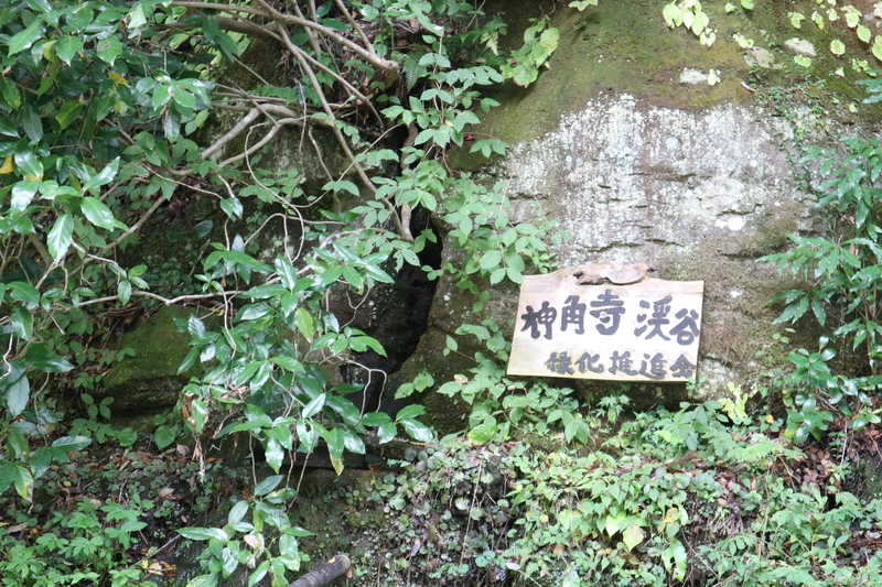 e0272335_20592559.jpg