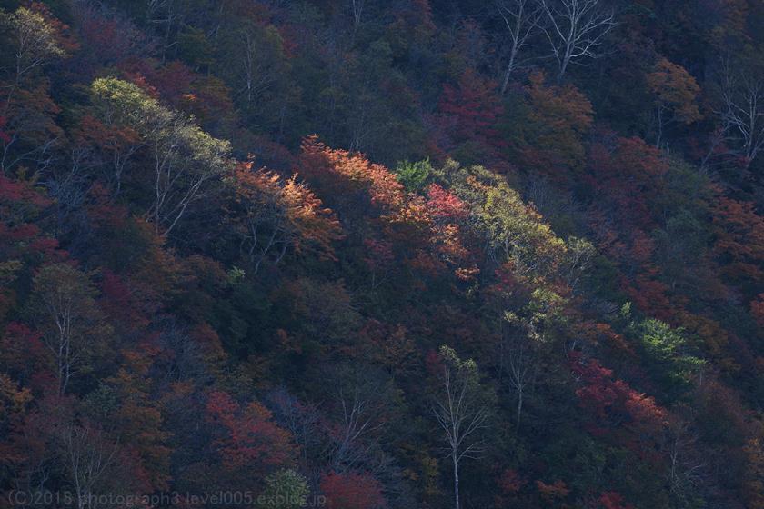 那須高原 茶臼岳 紅葉_e0362037_19431262.jpg