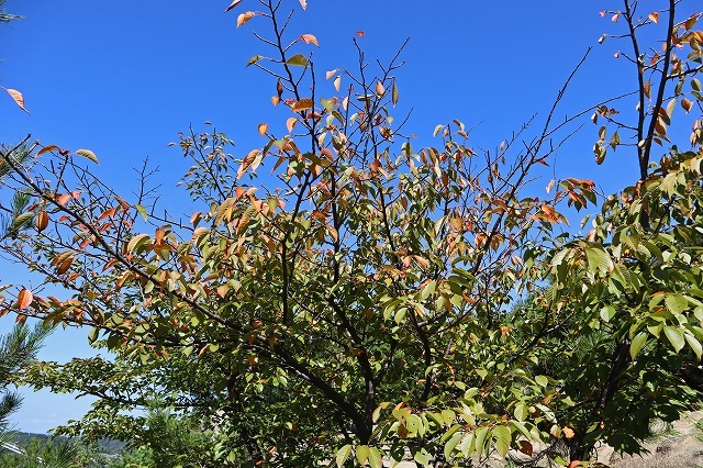 a0242438_19310160.jpg