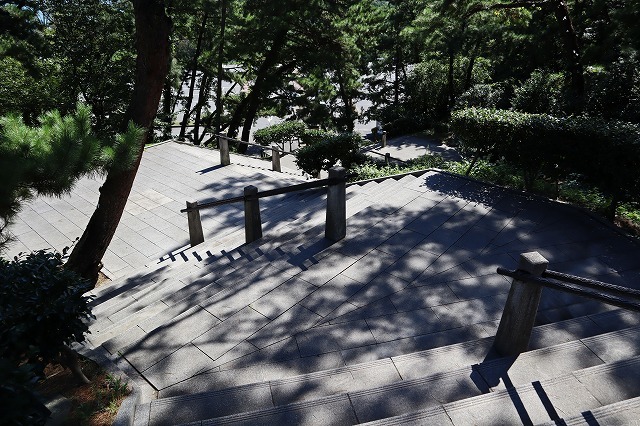 a0242438_19372372.jpg