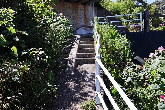 a0242438_19380341.jpg