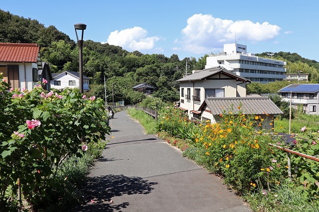 a0242438_19380358.jpg