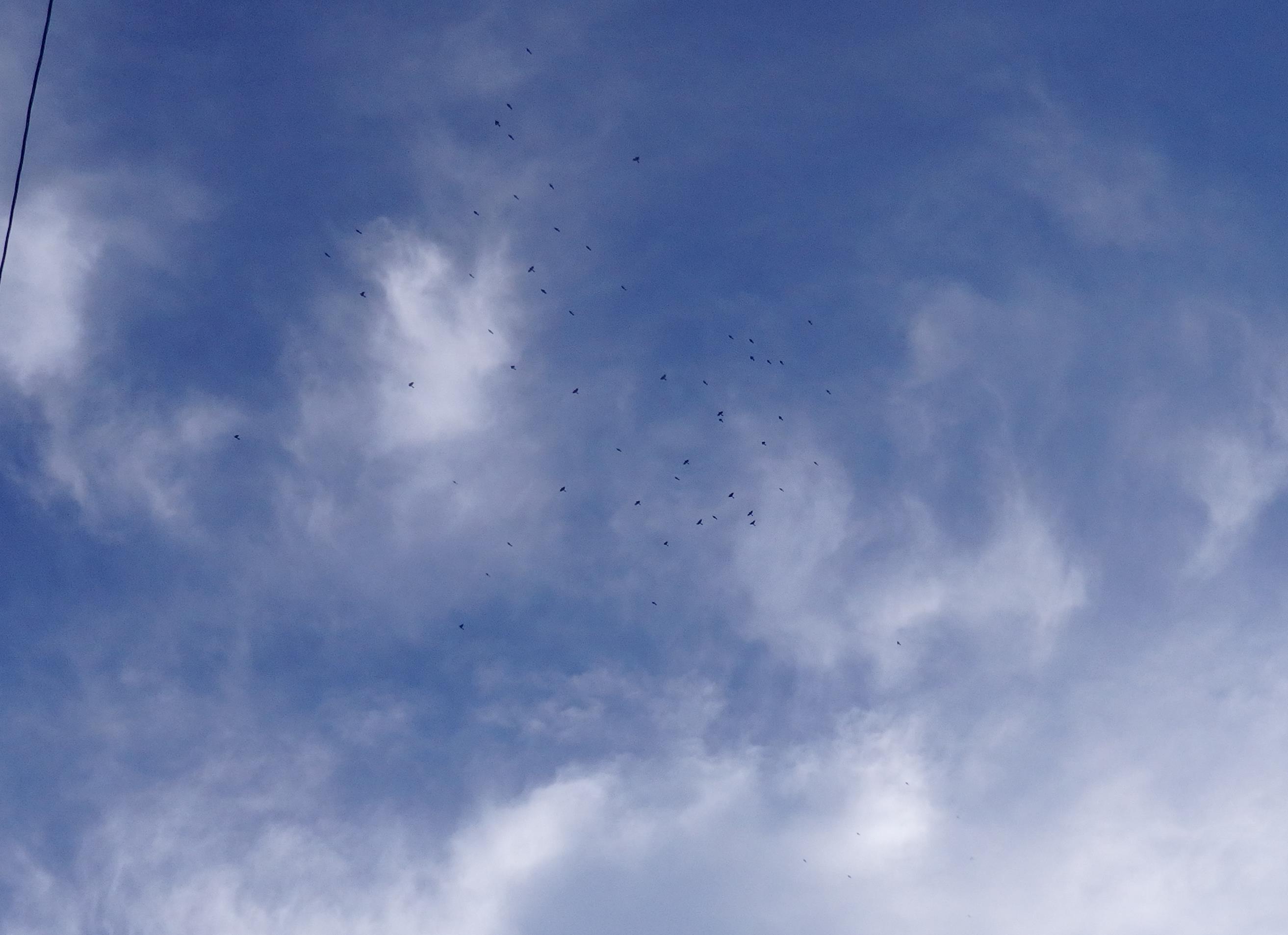 a0054240_20180315.jpg