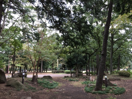 淵野辺公園を歩く_b0330040_14333904.jpeg