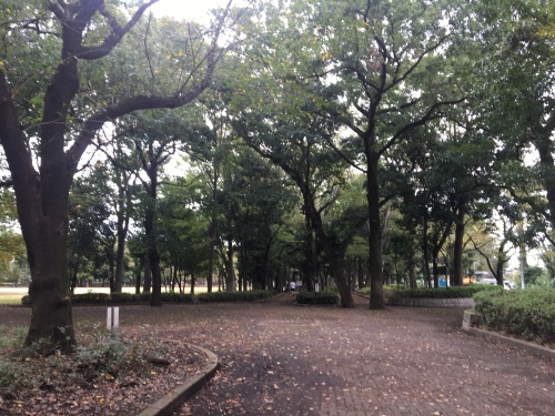 b0330040_22320193.jpeg