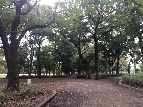 淵野辺公園を歩く_b0330040_22320193.jpeg