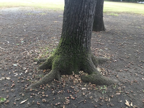 b0330040_22354681.jpeg