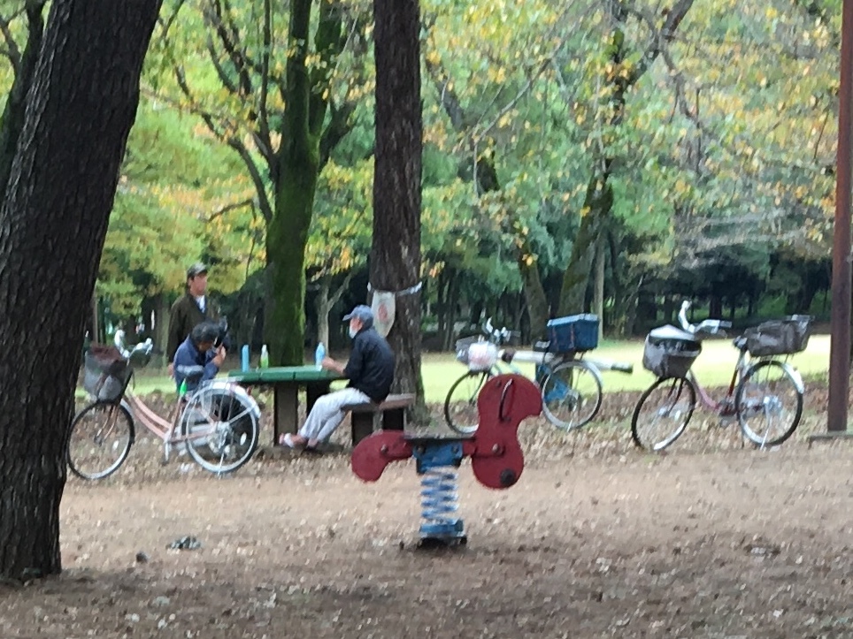 淵野辺公園を歩く_b0330040_22433948.jpeg