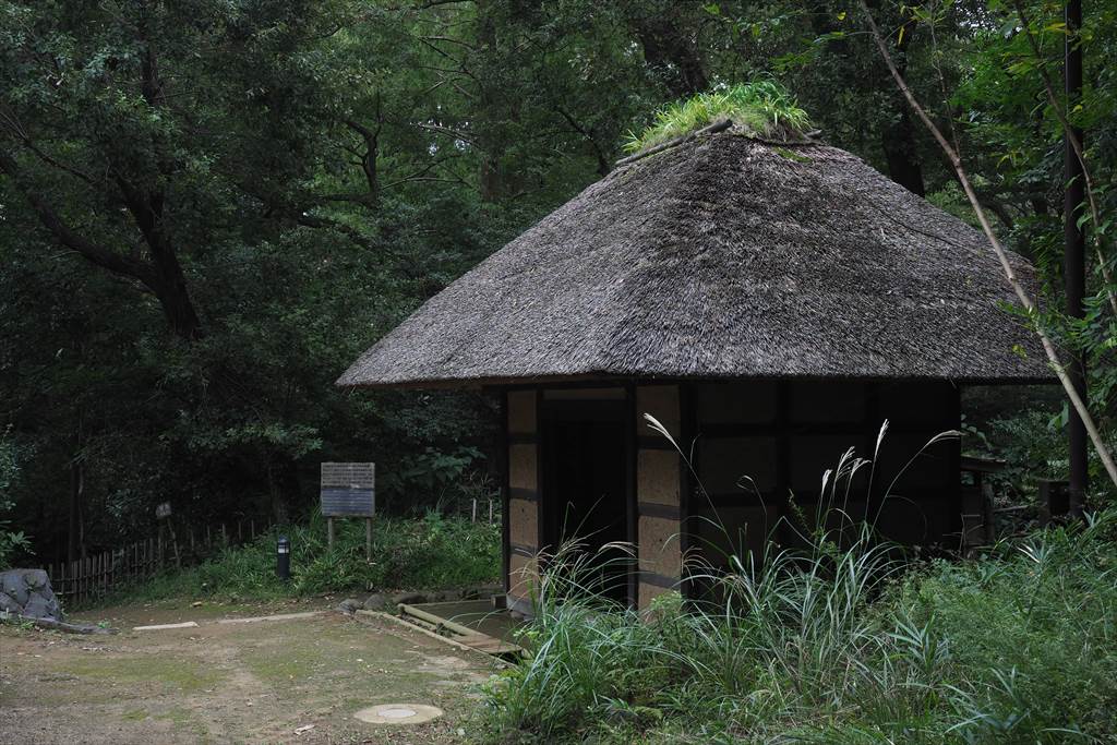 f0396143_11182682.jpg