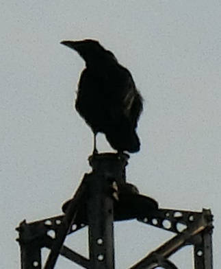 f0234245_10094340.jpg