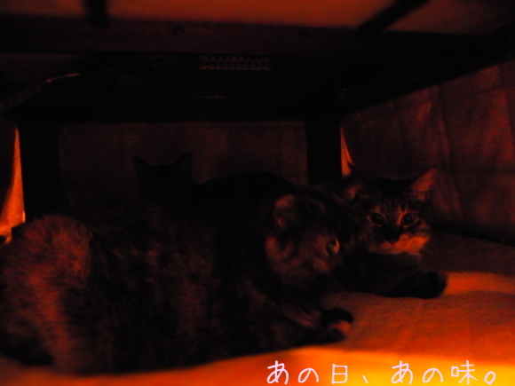 a0305046_09355842.jpg