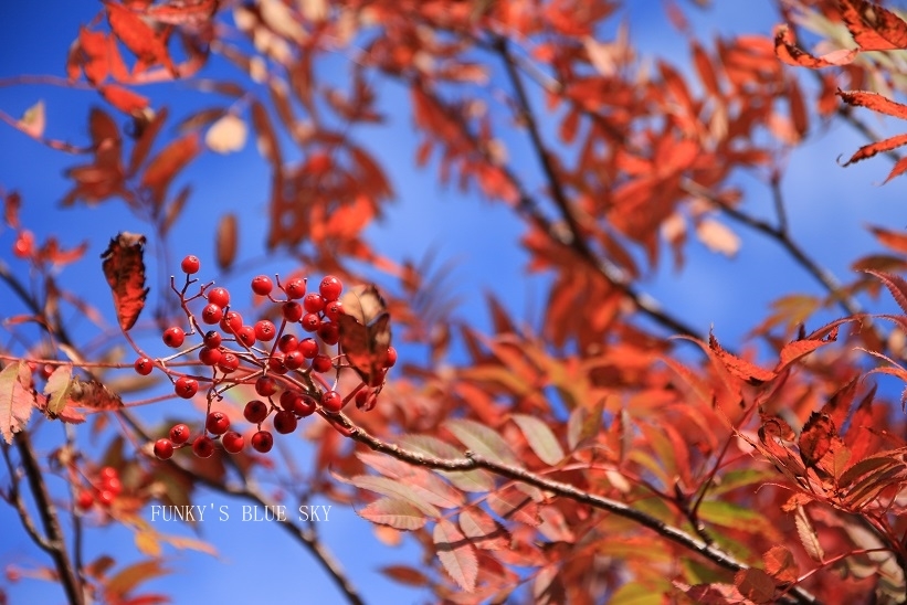 c0145250_08411430.jpg