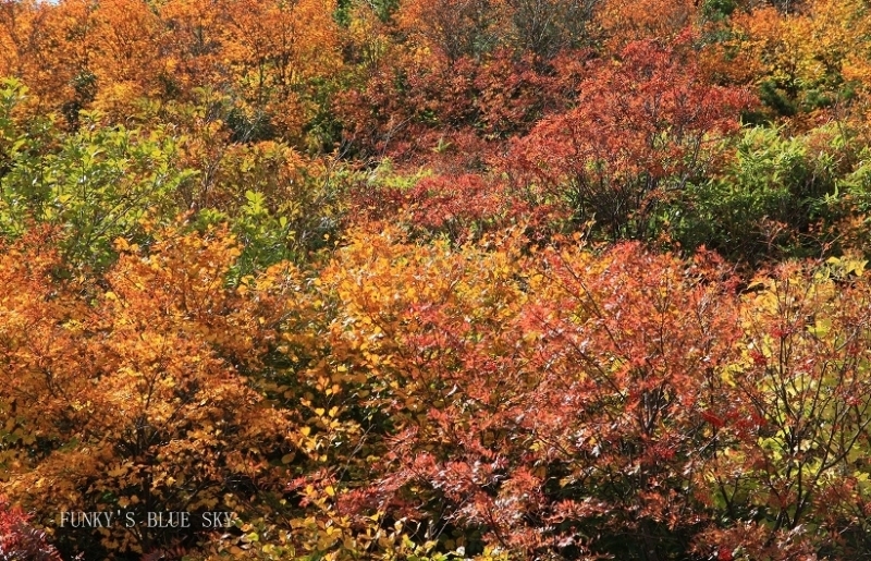 c0145250_08412581.jpg