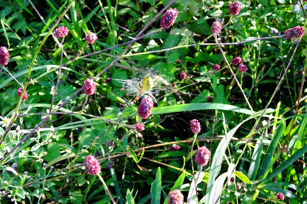 b0236251_09012934.jpg