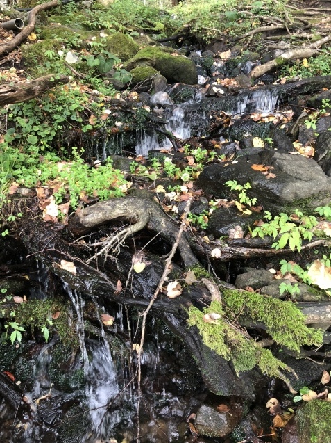b0214652_14474680.jpeg