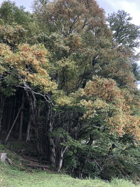 b0214652_14491588.jpeg