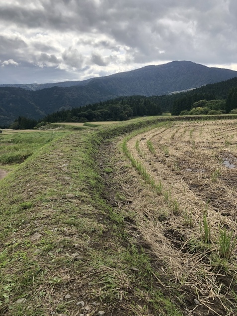 b0214652_14523924.jpeg