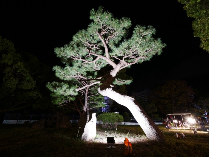　　野外いけばな展　　２０１８-１０-１４　００：００_b0093754_18233958.jpg