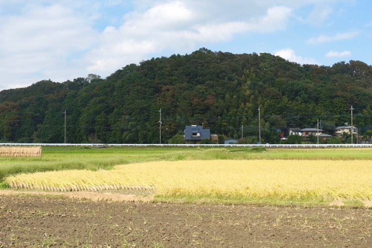 愛川の家、竣工写真_b0147156_09444371.jpg