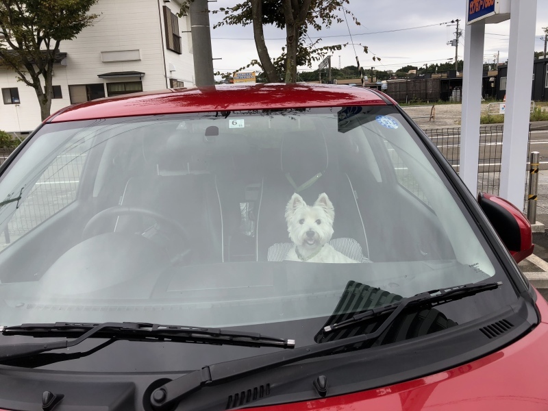 f0363961_11594770.jpeg