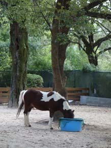 五月山動物園_b0160363_21214557.jpg