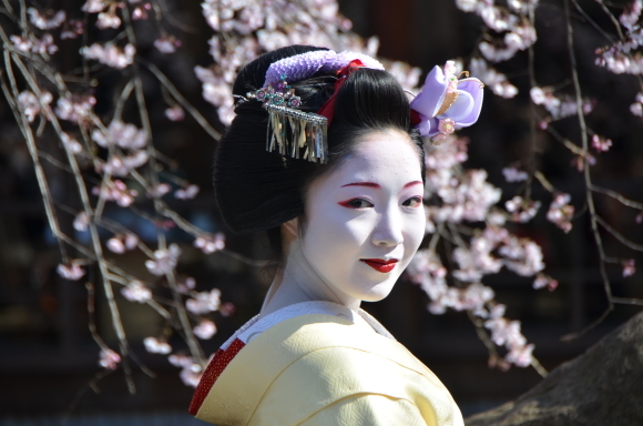宮川町 とし純 とし夏菜 とし花 たね寿 とし輝 とし桃 花街ぞめき Kagaizomeki 宮川町 とし純 とし夏菜 とし花 たね寿 とし輝 とし桃 花街ぞめき Kagaizomeki