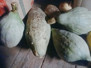 c0248067_07575815.jpg