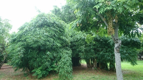f0228967_11515098.jpg