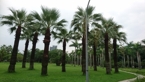 f0228967_11522560.jpg