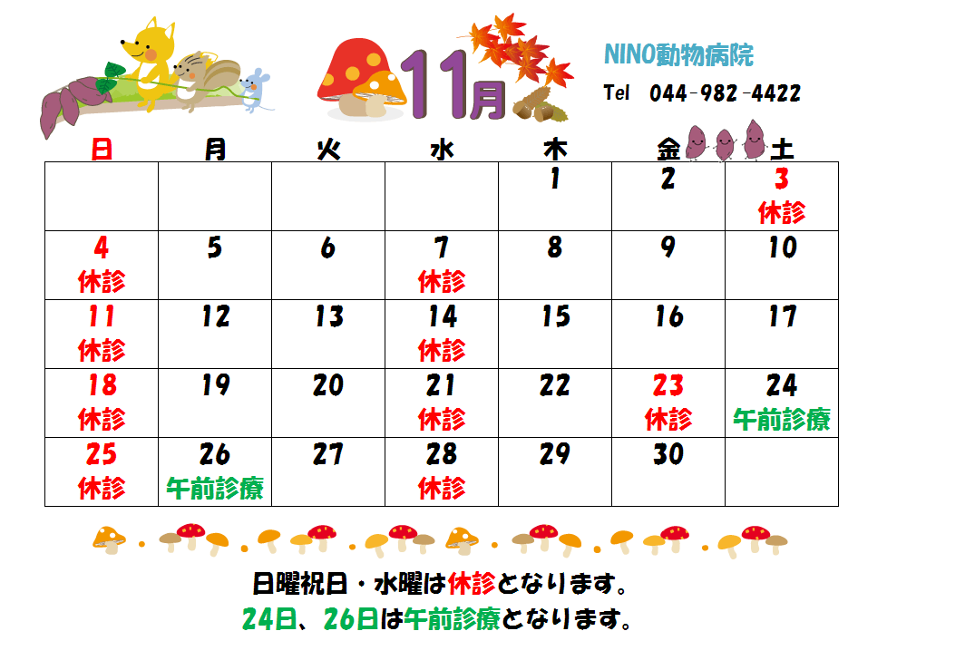 11月の診療日のお知らせ☆_e0288670_13084631.png