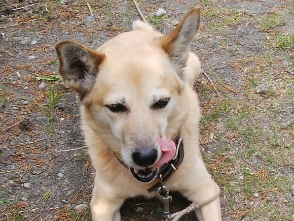 f0376072_09081848.jpeg