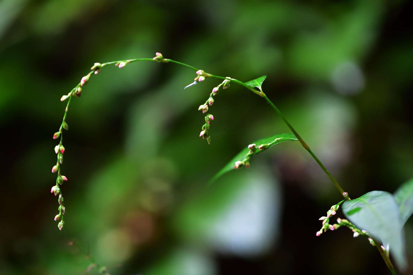 d0328977_22582783.jpg