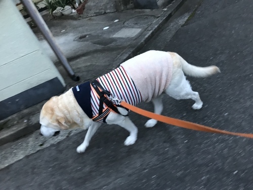 f0315081_21400575.jpeg