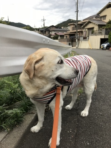 f0315081_21442814.jpeg